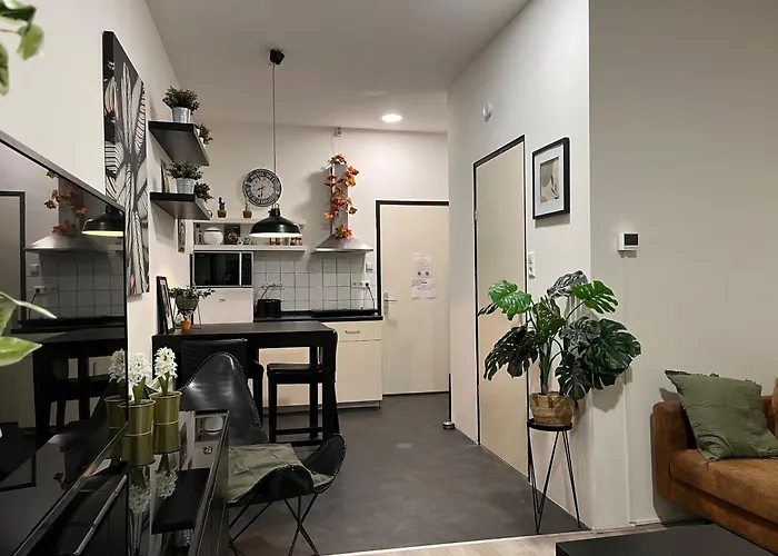 Studio E